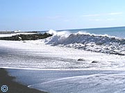 La Palma - Schwarzer Sandstrand v. Puerto Tazacorte -  -